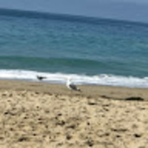 Meet your Posher, Simone